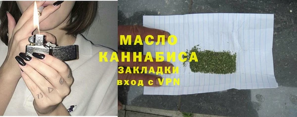 хмурый Бородино