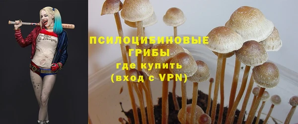 хмурый Бородино