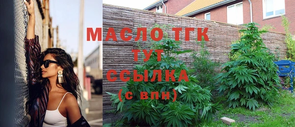 крисы Богородск