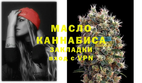 хмурый Бородино