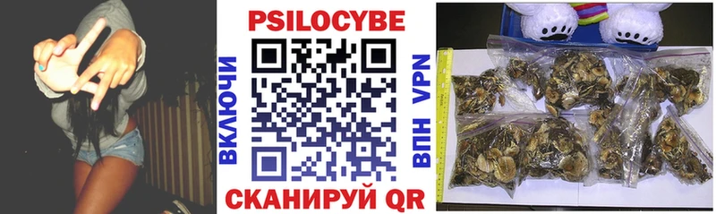 Псилоцибиновые грибы мухоморы  hydra зеркало  Фёдоровский 